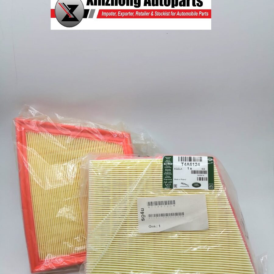 Air Filter (T4A6124)